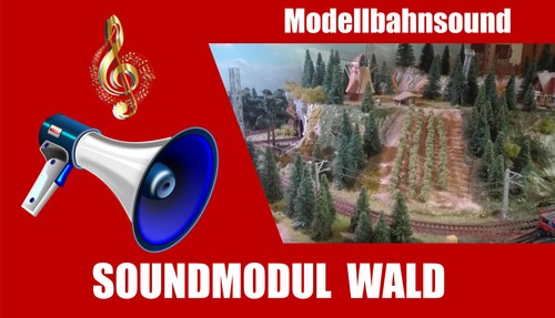 Modulo audio foresta mp3 - modulo,